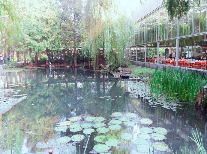 菁芳園