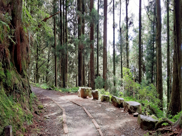 特富野古道