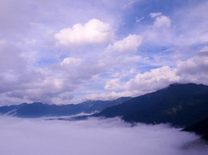 雪霸觀霧-坐擁雲海山林