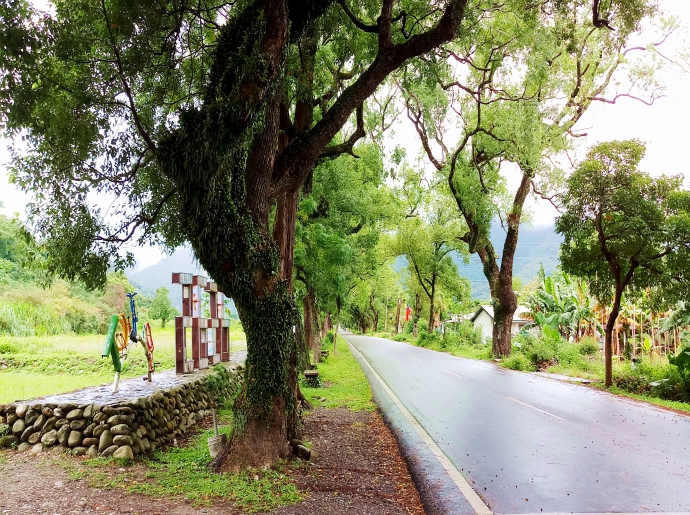 武陵綠色隧道(2626農村市集)