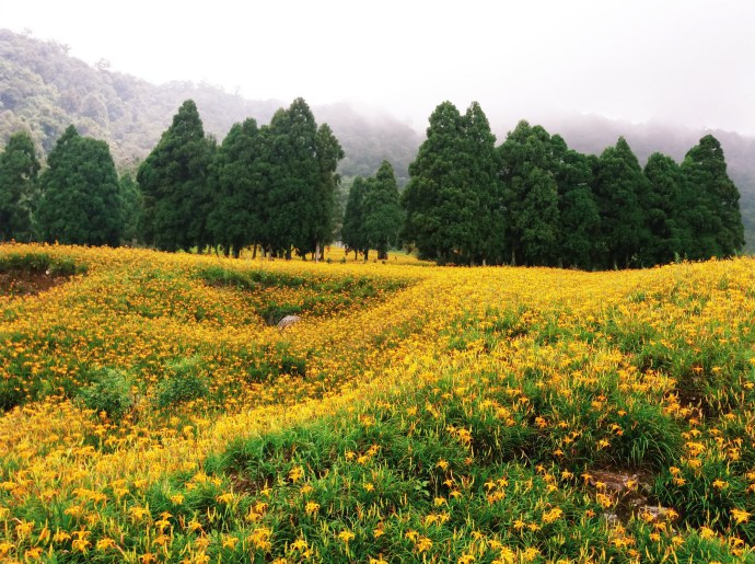 赤柯山