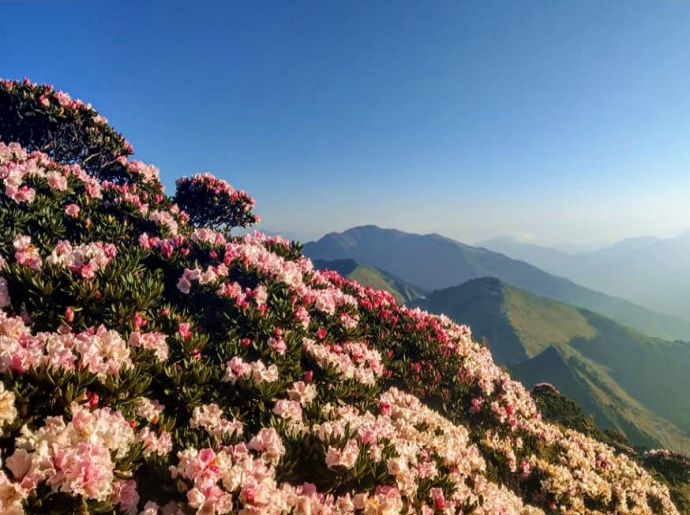 春暖花開合歡山二日