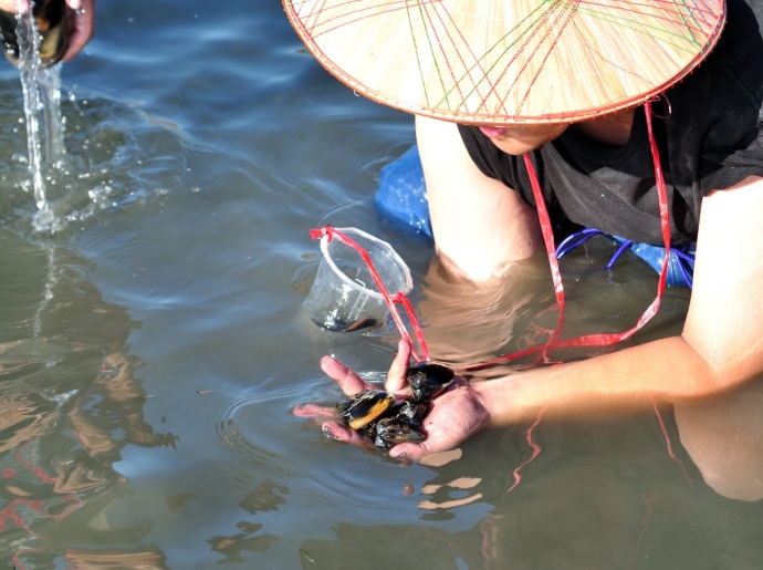 股份魚鄉